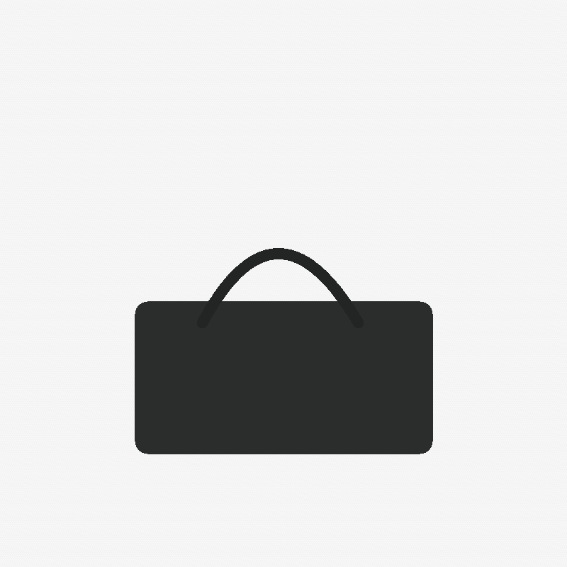 Business Bag